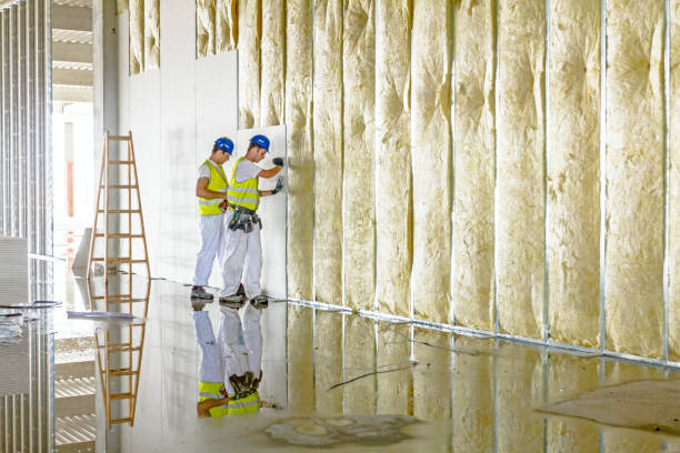 Best Commercial Insulation in Lakeland South, WA